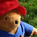 Saving Mr Paddington