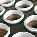 Schoko Cupcakes mit Brombeeren