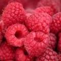 Beeren-Joghurt-Dessert