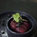 currant sorbet