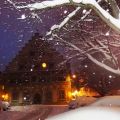 Blog-Love: Der Weg, ein frischer Wind und ein[...]
