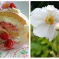 {Rezept} Die beste Himbeerroulade auf der[...]