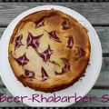Himbeer-Rhabarber-Swirl