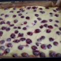 Kirschkuchen mit Rahmguss