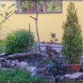 Blumegarten Anfang Mai...