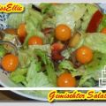 ~ Salat ~ Gemischter Salat ~