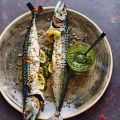 Pfeffer-Ingwer-Makrelen mit Salsa verde
