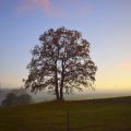 Hallo November!