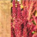 Der Die-kluge-Hausfrau-Kalender 2014 ist da :-)