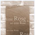Eine Rose ist eine Rose...