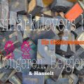 Flohmarklovers best, ein waschechtes[...]