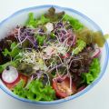 Bunter Salat mit Wakame und Dressing[...]