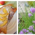 {Rezept} Süße Apfelpfannkuchen