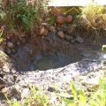 Gartenteich im neuen Heim