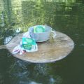 Fisch, wunderbarer Fisch!