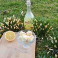 Limoncello-Trüffel