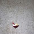 coconut-panna-cotta with currant-jelly & white[...]