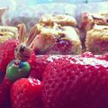 Rückblick: Mit Erdbeeren und Blaubeeren ins[...]