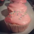 Vegane Vanille Cupcakes + Himbeerfrosting