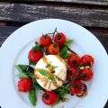 Burrata mit Chili-Tomatensalat