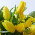 Friday Flowerday in sonnengelb und herzhaft[...]