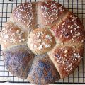 MEINE FOODBLOG-BILANZ 2016
