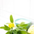 Mein Geheimtipp gegen Sommerhitze! {keep cool 2}