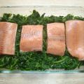 Lachs auf Blattspinat