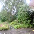 Sonntagsbilder