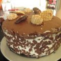 Stracciatella-Schokoladen-Torte mit Kirschen im[...]