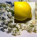 Holunder-Blüten-Zeit:[...]