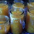 APFELSINE - APFEL - MARMELADE