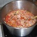 Thunfisch-Ragout 