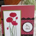 Pleasant Poppies
