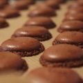 Schokoladen-Macarons