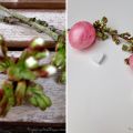 Kirschblüten und Ostereier Teil II - diesmal[...]