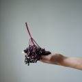 homemade elderberry-syrup