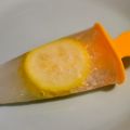 Gin Lemon Popsicles