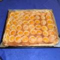 Aprikosenkuchen vom Blech (Aprikosentarte)