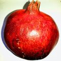 Lebensmittelrundreise - Heute: Der Granatapfel