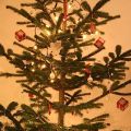 Unterm Tannenbaum...