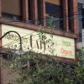 VEGAN UNTERWEGS IN KYOTO: DAS PRUNUS