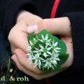 Rotaract Kidscamp - Kinder und Wildpflanzen