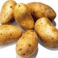 Kartoffeln *Informationstext und Ratgeber[...]
