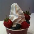 Frozen Yoghurt selber machen !