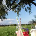 Ein Sommerpicknick: Limette-Minz-Limonade