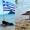 [Traveling ] Sommer, Sonne Rhodos