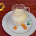 Orangen-Joghurt-Dressing
