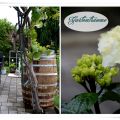 GEHEN WIR IN DEN GARTEN.....