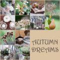 AUTUMN DREAMS